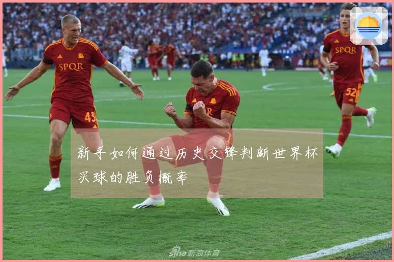 新手如何通过历史交锋判断世界杯买球的胜负概率